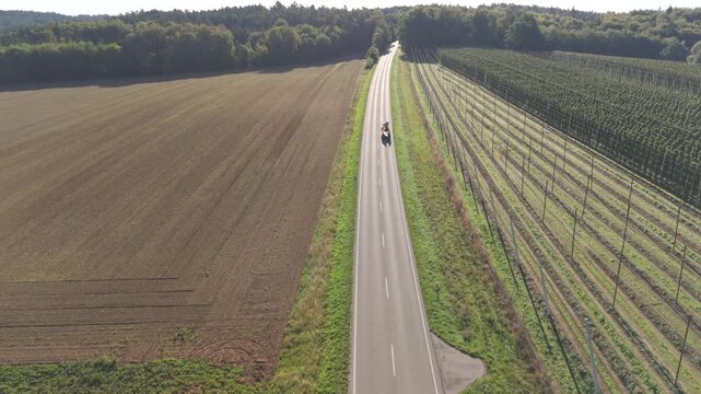 Fly over a Hop field in Bavaria during harvest season after summer time