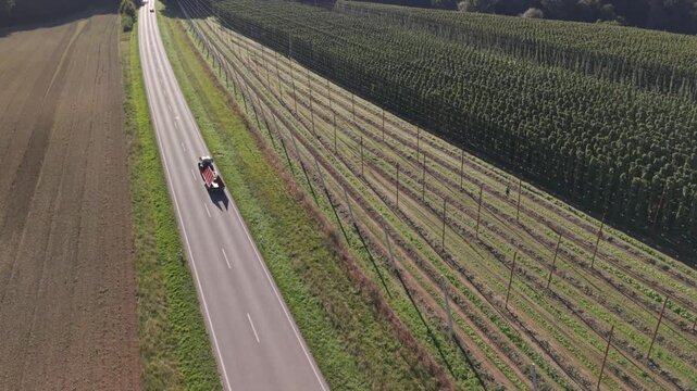 Fly over a Hop field in Bavaria during harvest season after summer time