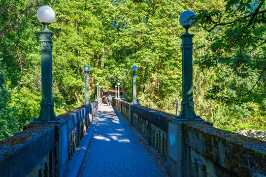 Arboretum Pedestrain Bridge