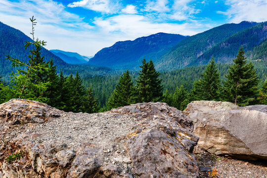 Washington Mountain Landscape 3