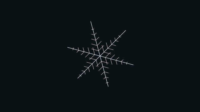 Crystal Snowflake Hexagonal Dendrite Fractal Ice Growth 4K Loop