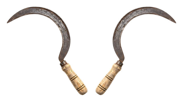 Handheld agricultural sickle set with sharp curved iron blade and light brown wooden handle used for traditional farming and harvesting field crops or weeds.