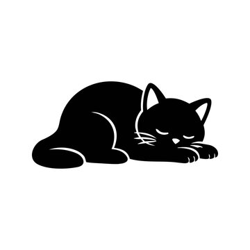 sillhouette sleeping cat