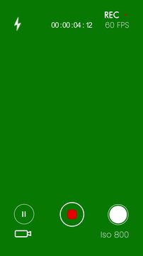 Vertical camera interface, smartphone video camera frame grid, video camera recorder screen overlay, camera viewfinder, recording overlay frame with timecode counter on green screen background