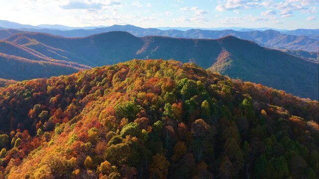 Appalachian mountain landscape at colorful sunset with orange and yellow forest trees. Autumn season brings beauty to wild nature.