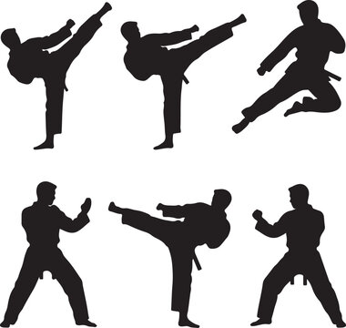Silhouetted Taekwondo Athletes Performing Kicks in Action