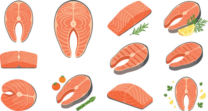 Fresh Salmon Fish Steaks and Raw Seafood Fillets Vector Illustration Set