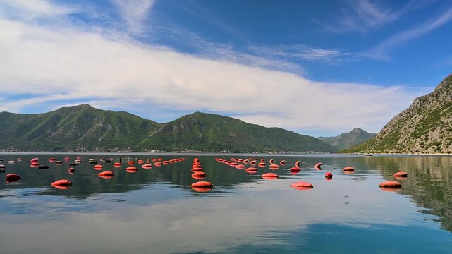 Scenic view of mussel farms in the Bay of Kotor, Montenegro