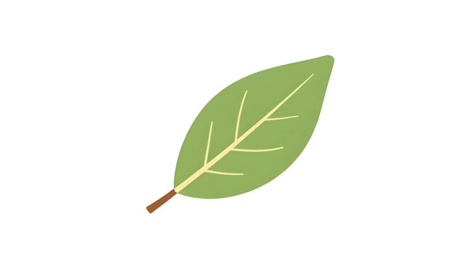 Leaf, green, nature, vector, graphic, green-leaf, simple-leaf, single-leaf, botanical-element, eco-icon, plant-leaf, fresh-leaf, natural-element, organic-leaf, leaf-illustration