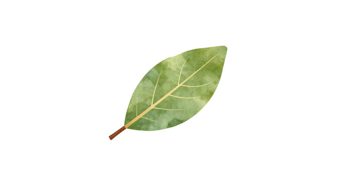 Leaf, green, nature, vector, graphic, isolated, white-background, foliage, botanical, plant, eco, environment, fresh, simple, icon