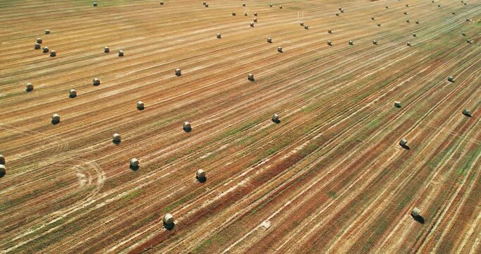 A field of hay is shown in a very wide aerial shot