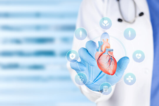 Medical specialist examining a chart of the human heart for thrombosis diagnosis, cardiology, and health concept. Isolated on a blue bokeh background.