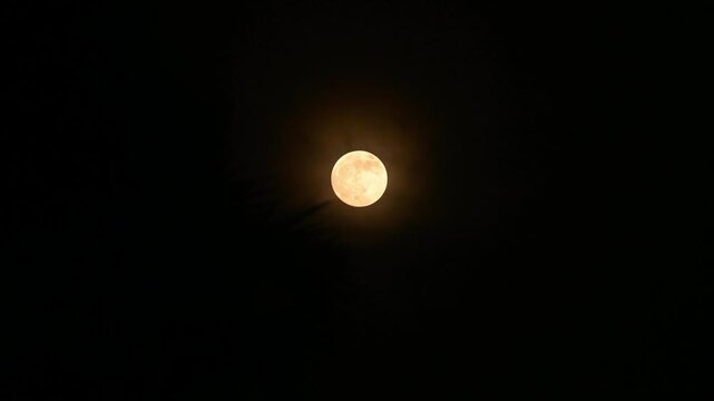 August's full moon is known as the Sturgeon Moon. As the moon rises above the southeastern horizon at sunset, it creates a spectacular light show with its lunar corona. Visible through overgrown grass