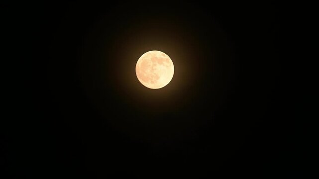 August's full moon is known as the Sturgeon Moon. As the moon rises above the southeastern horizon at sunset, it creates a spectacular light show with its lunar corona. Visible through overgrown grass