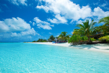 Obraz premium tropical Maldives island with white sandy beach and sea