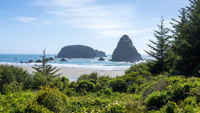 Whaleshead Beach Near Brookings Oregon