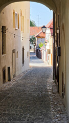 Obraz premium Narrow cobblestone street with archway and vintage street lamps