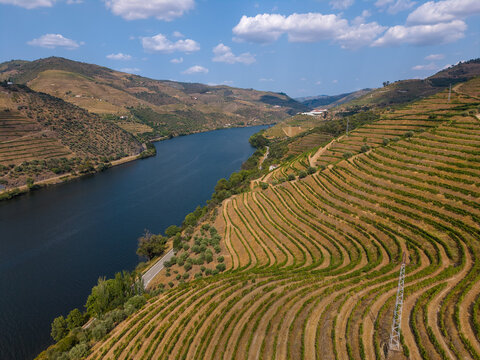 Douro river winding through vineyard terraces in portugal