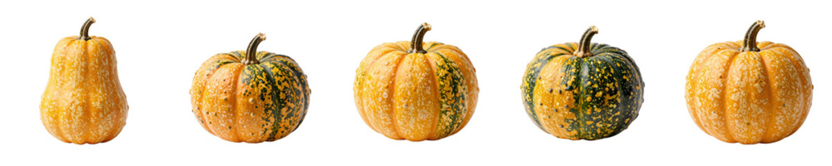 Obraz premium Selection of fairytale pumpkins with yellow and green color patterns isolated on black background