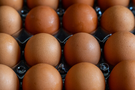Brown eggs in a container 