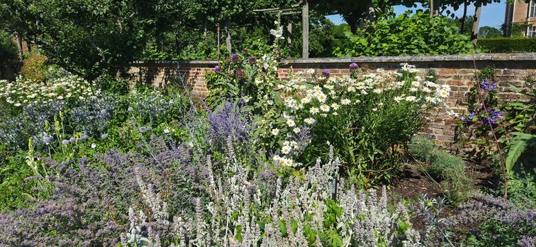 English garden, flower bed in hot summer day. 