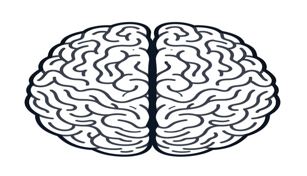 Human brain outline icon from top view showing left and right hemispheres line art vector cartoon illustration isolated on white