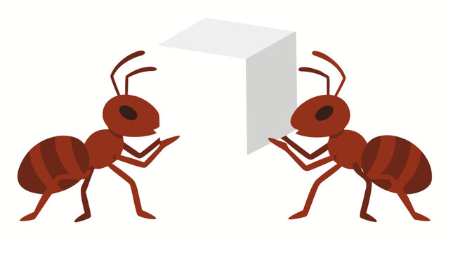 Two red ants teamwork carrying single white sugar cube together bold flat vector illustration clean white background cartoon insects nature wildlife cooperation labor - detailed commercial stock