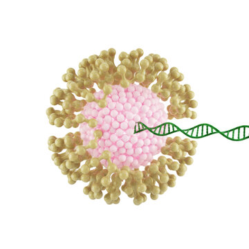 Detailed 3D render of a lipid nanoparticle cross-section, pale yellow phospholipids, pink drug payload, green mRNA actively exiting, on a sterile white background. Concept of nanomedicine genetic