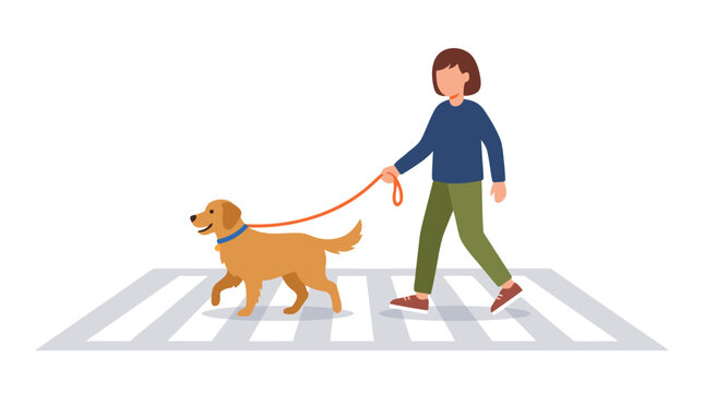 Flat vector illustration of a woman walking her friendly golden retriever dog on a leash across a pedestrian crosswalk, bold shapes, clean modern design, urban lifestyle concept