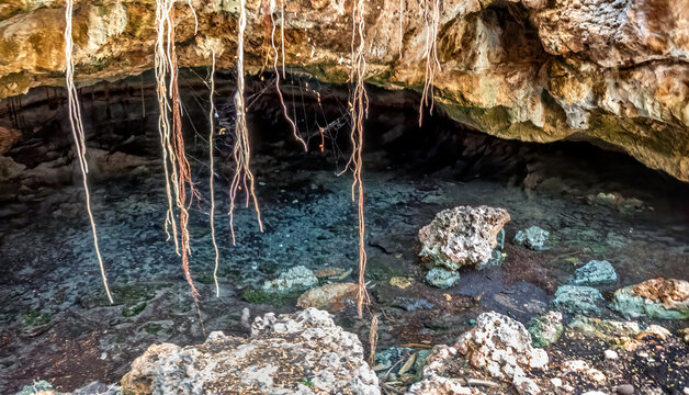 The Entrance to Anjanamba Cave in the Spiny Forest of Southwestern Madagascar