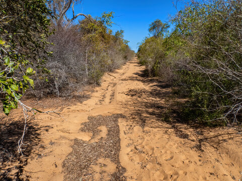 Trail to Anjanamba Cave in the Spiny Forest of Southwestern Madagascar