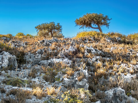 Rugged Semi-desert Coastland in Southwestern Madagascar
