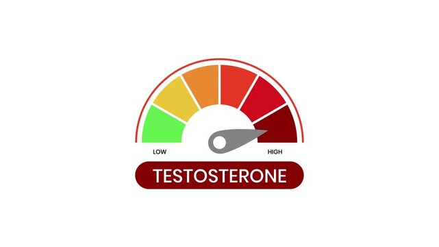 Testosterone levels indicator flat animation isolated on white backgorund