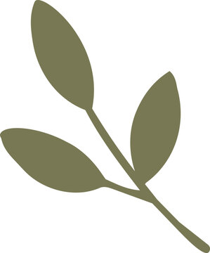 A minimalist olive green botanical branch with three elongated leaves in a clean