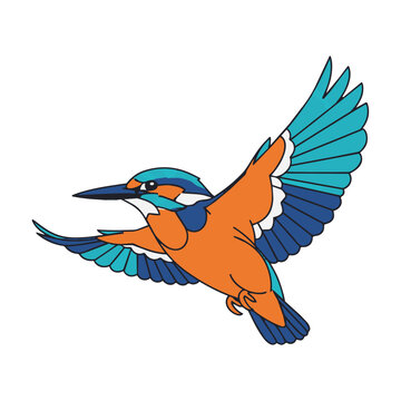 Minimalist line art of a flying kingfisher bird with stylized geometric plumage and clean monoline outlines on a white background, nature design concept