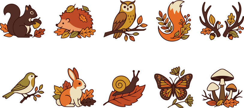 Autumn Woodland Wild Animals and Nature Elements Collection