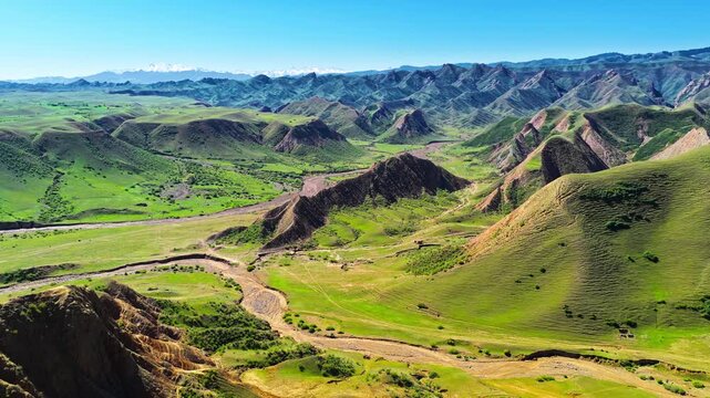 Aerial view of green eroded mountain valleys with rugged ridges, winding channels, distant snowcapped peaks, and bright sunlight under a clear blue sky.