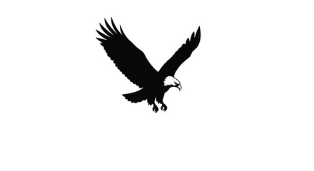 Fototapeta premium Soaring eagle with outstretched wings a black silhouette