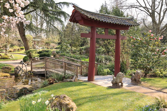 Blick in den Japanischen Garten der Stadt Leverkusen in Nordrhein-Westfalen
