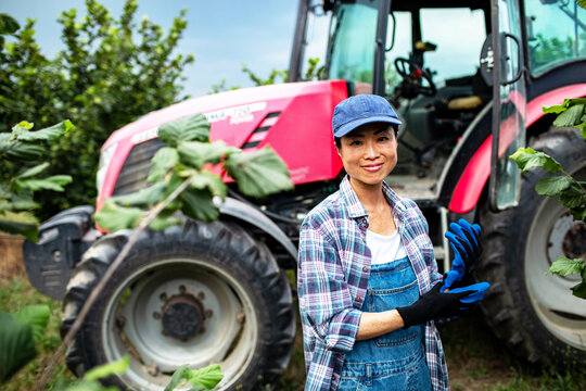 Female farmer putting on gloves by tractor in orchard