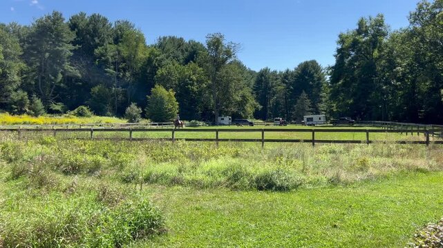 Person riding a horse in a green paddock surrounded by trees