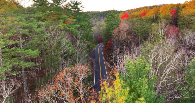 Peaceful mountain road in North Carolina during peak fall season at sunset. Appalachian landscape filled with vivid autumn colors