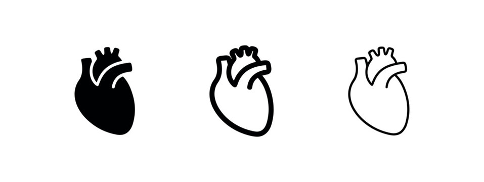 Anatomical heart icon set. Human organ, cardiology, and health symbols in solid, bold, and outline styles.