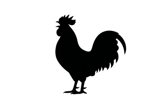Rooster silhouette stands isolated on a plain white surface.