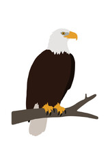 Obraz premium Majestic bald eagle perched on a wooden tree branch, flat vector icon illustration with white head feathers, golden yellow beak, sharp talons, and dark brown plumage, American wildlife