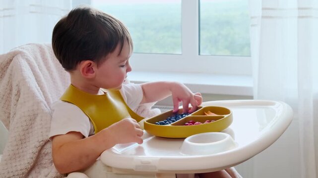 Toddler boy sitting in high chair eating fresh fruit from plate. Small child learning to self feed with healthy organic snack. Care and healthy nutrition for baby at mealtimes.