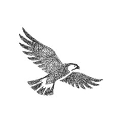 Fototapeta premium Sketch monochrome hawk logo design