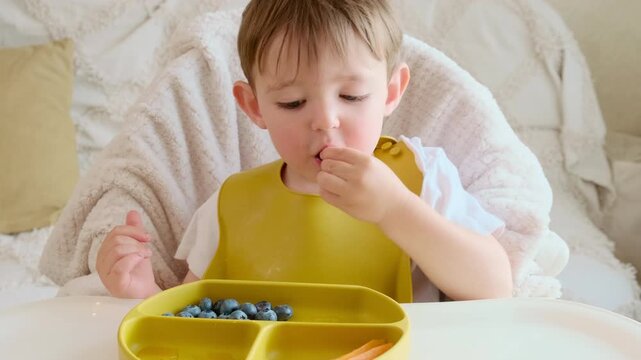 Toddler boy eating fresh blueberry from silicone plate. Child self feeding with healthy fruit snack. Childhood nutrition and development concept in home environment.