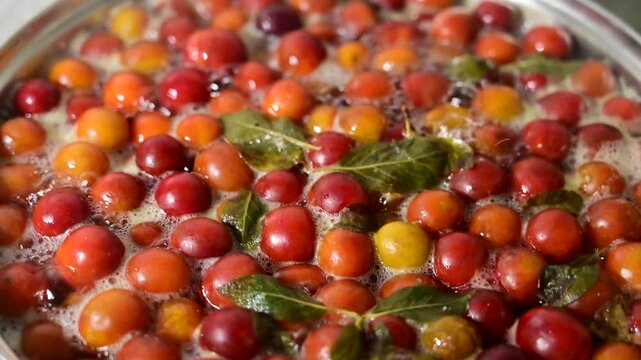 Wild Plums Boiling in Water During Traditional Homemade Compote Preparation, Fresh Wild Fruit Cooking Close Up