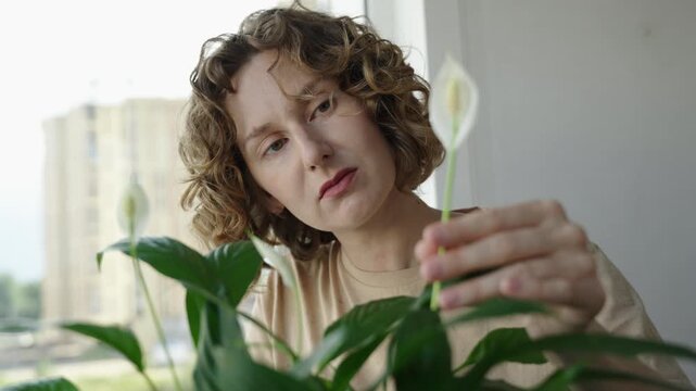 Medium close up of a woman inspecting and gently touching the leaf and bloom of a peace lily Natural window light sculpts hair and foliage textures The clip shows careful plant care a tactile moment a